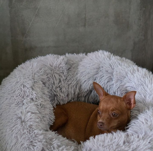 Cama Luxury Peluda S Para Perros Pequeños De Faux Fur