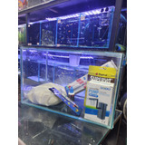 Kit Acuario 20 Litros