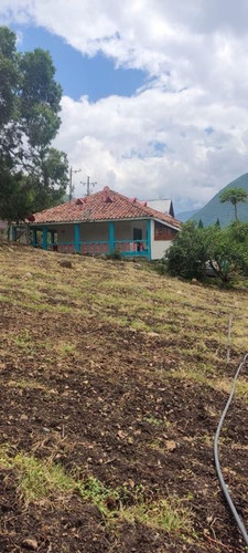 Finca De 1.650m2 En Venta Aují El Cerrito Valle Del Cauca Colombia