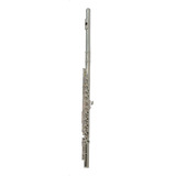 Flauta De 16 Orificios Tono C Con Estuche Maxima Kftf-100n Color Plateado