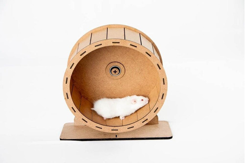 Brinquedos Para Hamsters Rodinha De 30 Cm Roda Grande Ideal