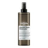 L'oréal Absolut Repair Molecular Pré-tratamento 190ml