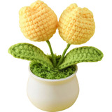 Mini Maceta Con Flores Tejidas A Mano Crochet Decoración