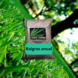 Raigras Anual 5 Kg - Cesped Ingles - Rye Grass - Ryegrass