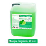 Shampoo Bergamota Natural Sane Crecimiento De Cabello 20 Lt