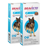 Antipulgas E Carrapatos Bravecto 20 A 40 Kg 1000mg Kit Com 2