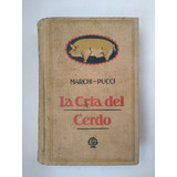 La Cría Del Cerdo (1921) / Marchi - Pucci