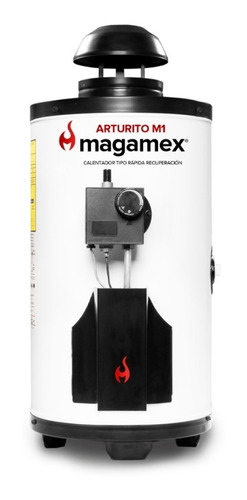 Calentador Rápida Recuperación Magamex Mini Gas Lp