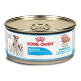 Alimento Royal Canin Starter Mother & Babydog 24 Piezas