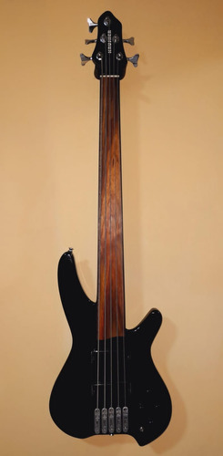 Bajo Electrico  5 Cuerdas Fretless