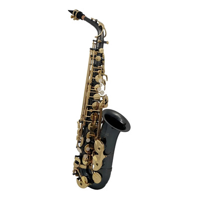 Saxofon Alto Roy Benson Antracita As-202k | Envío gratis