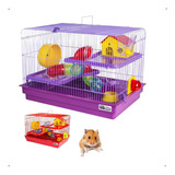 Gaiola Playground Para Hamster Comedouro Bebedouro Tubos Cor Lilás