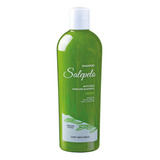  Shampoo Salepelo, Anticaida, Natural, 390ml, Evita La Caida