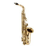 Saxofone Alto Vogga Mib Laqueado Vsas701n