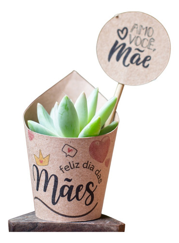 Rotulo P/ Suculenta Presente Dia Das Mães Vaso 6 C/50 Un