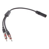 Coche Broadcast Fm Estéreo Conector Enchufe Cable Divisor