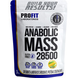 Hipercalórico Massa Anabolic Mass 28500 - 3kg - Profit Labs