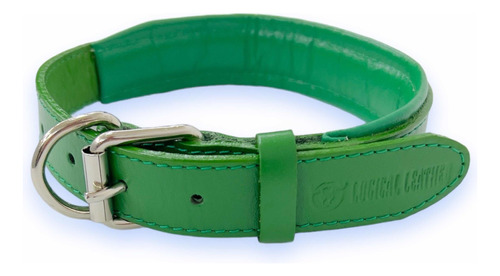 Collar Premium Para Perros 100% Piel Varios Colores