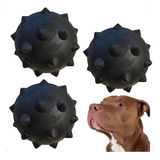 Kit 3 Bola Caes Cachorro Raças Grandes 10cm Resistente Promo