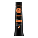 Shampoo Encorpa Cabelo Haskell 500ml