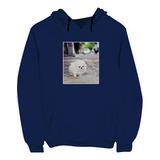 Sudadera Capucha Am9  Perrito Kawaii G951