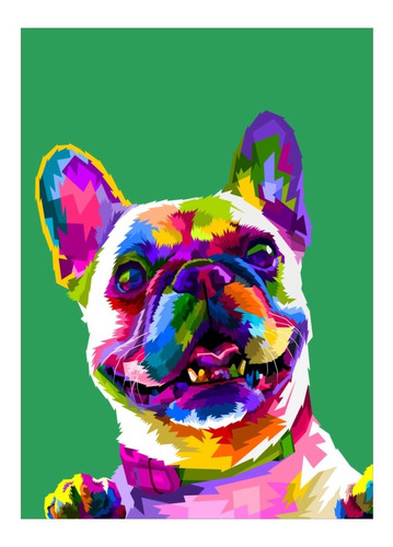 Cuadro Decorativo Arte Moderno Bulldog 