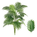 Planta Artificial Palmeira Decoração Casa