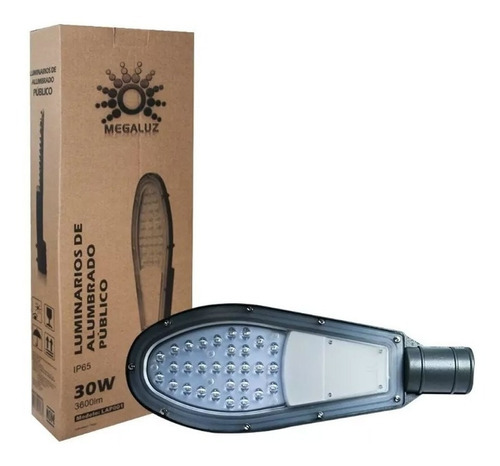 Foco Reflector Led Alumbrado Publico 30w 3600lm C30w01u Color De La Carcasa Gris Color De La Luz Blanco Frío