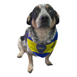 Bandana Boca Juniors Para Perro. Escudo Y Estampa. T Talles 