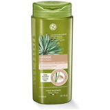 Shampoo Alisante Yves Rocher 300 Ml