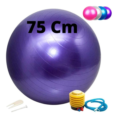 Bola Pilates Ginástica 75cm Suporta 150kg Premium Mais Bomba