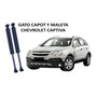 Gato Amortiguador Compuerta Chevrolet Captiva 2007 - 2015 Chevrolet Captiva