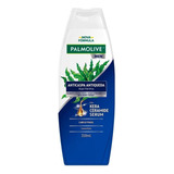  Shampoo Palmolive Anticaspa Men Antiqueda Hidratante 350ml