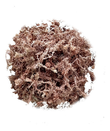 Sphagnum Moss Largo (10 Litros/ 250 Gramos) Musgo 