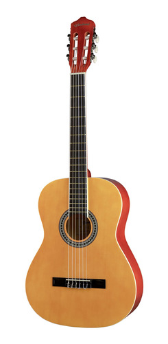 Guitarra Woodsoul L-l39 Tilo/techwood