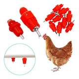 10 Bebedouro Automático Aves Galinha Frango Codorna Pakeway