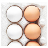 Huevo Blanco Por Mayor N1 Pallet 25 Cajones -precio X Maple