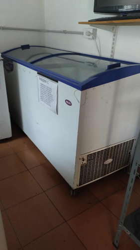 Freezer Grande Inelro