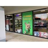 Venta De Fondo De Comercio En Miami, Florida, Usa. Pet Shop Con Venta De Mascotas, Peluqueria Canina Y Venta De Alimentos Y Productos Accesorios Para Mascotas.