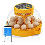 Incubadora Yuxi 16 Para Huevos De Gallina, Pato Y Codorniz, 