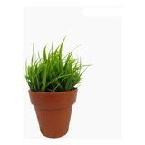 Arranjo Pronto Verde Pick Folhagem E Vaso Artificial 13cm