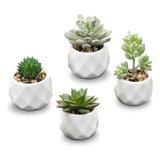 Mygift Juego De 4 Miniplantas Artificiales Suculentas Surtid