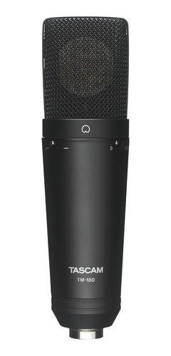 Microfono Condensador Tascam Tm-180 