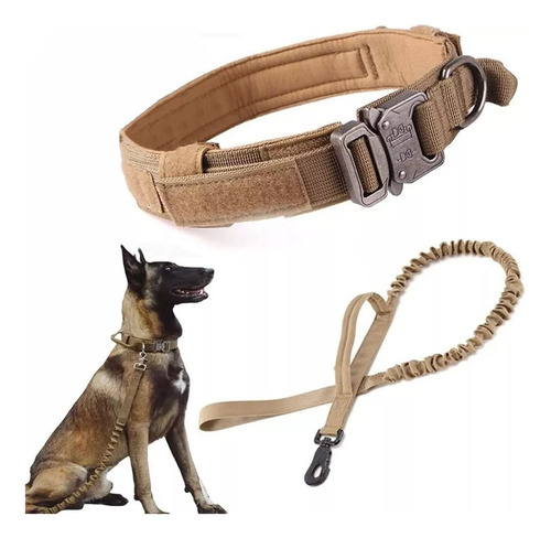 Collar Y Cuerda Para Perros Medianos Y Grandes