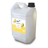 Jabón Líquido Antiséptico Para Manos Aroma Mango 5l