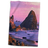 3d Rose Oregon-harris State Beach-brookings. Sea Stacks-u