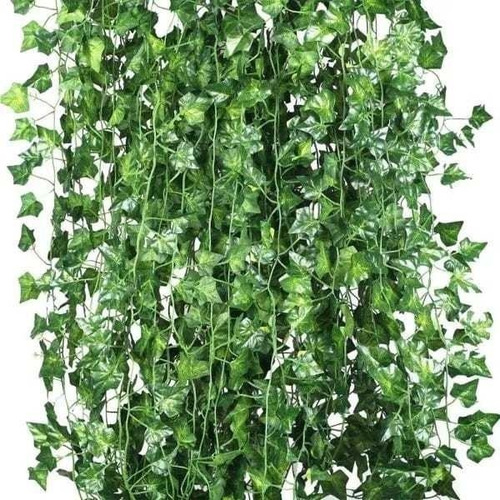 12 Hera Planta Artificial Jardim Kit 24 Metros Toque Real