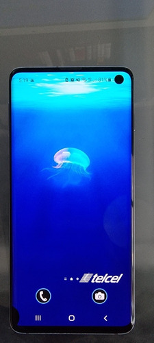 Samsung S10 Con Caja 