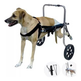 Cadeira De Rodas Cachorro Médio Porte 8 A 15 Kg Regulável