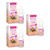 Kit 3 Óleo Rosa Mosqueta Rugol Epilê Natural 100%puro 10 Ml